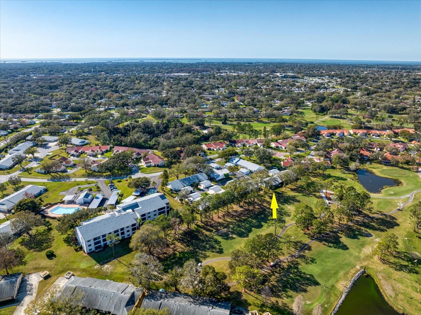 Neighborhood view - the pool to the left is available to Greenview residents~