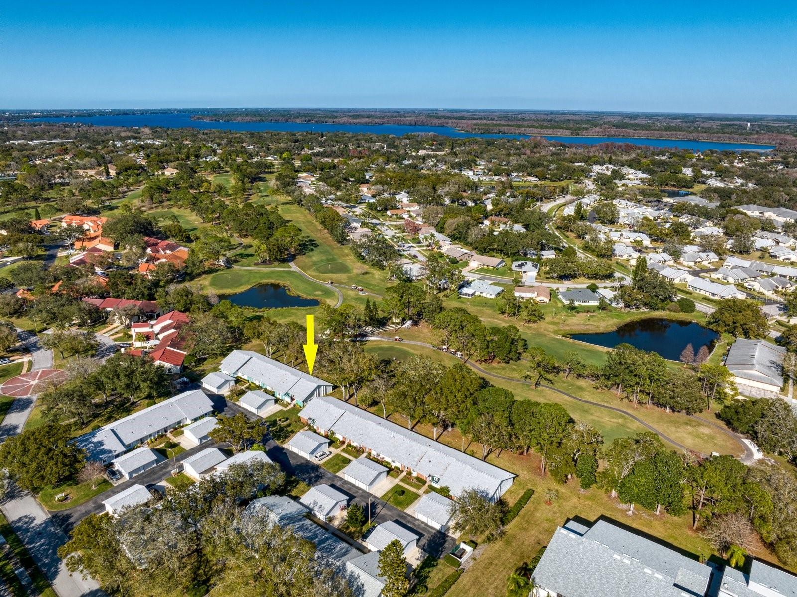 The White course behind Greenview Villas. Lake Tarpon at top of this picture~