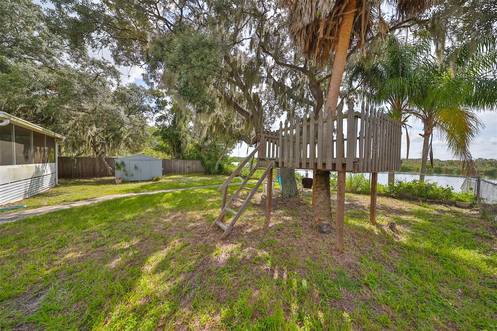 Back yard tree house