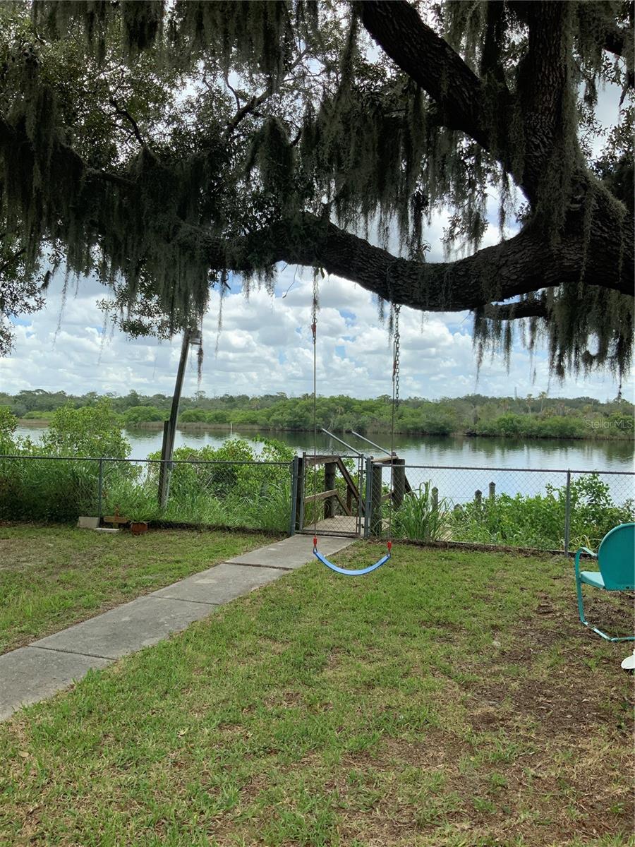 Backyard swing, view