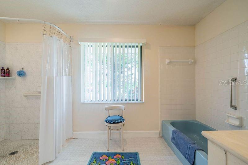 Master bath with tub and separate walk-in shower