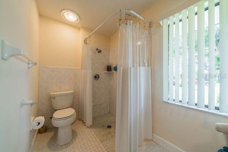 Master shower and commode