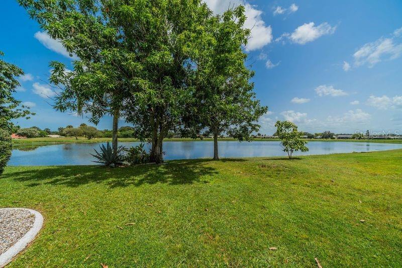 Beautiful pond view from pool deck and home