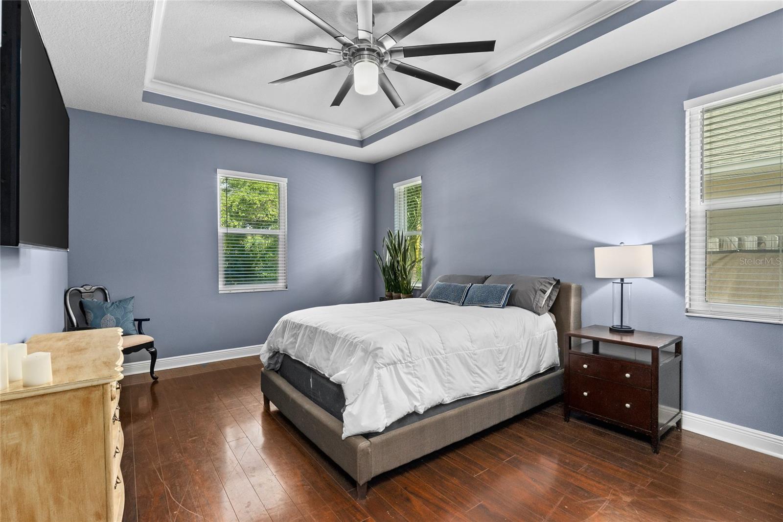 Primary Bedroom with Tray Ceiling