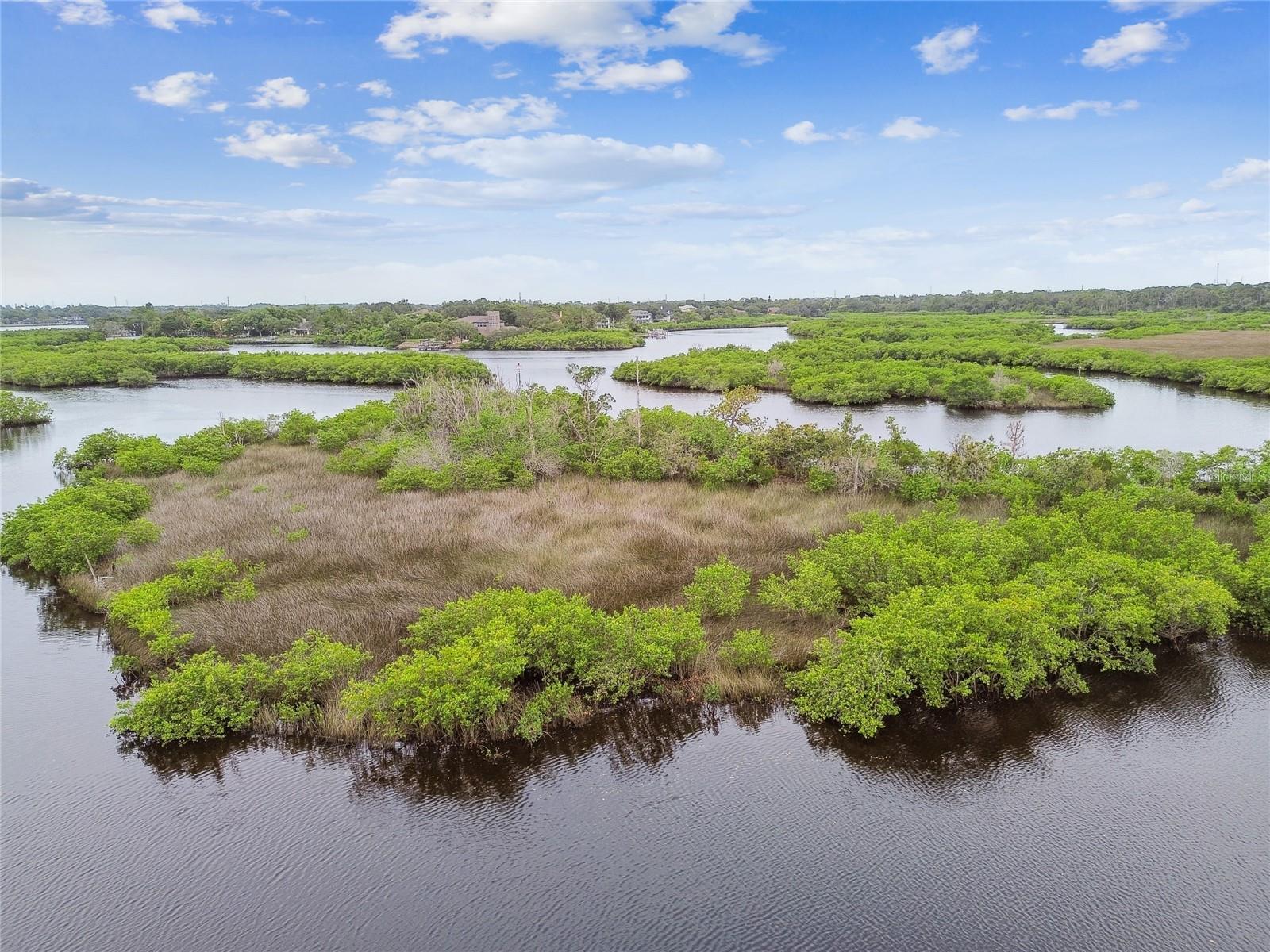 Anclote River (Leads to Gulf of Mexico)