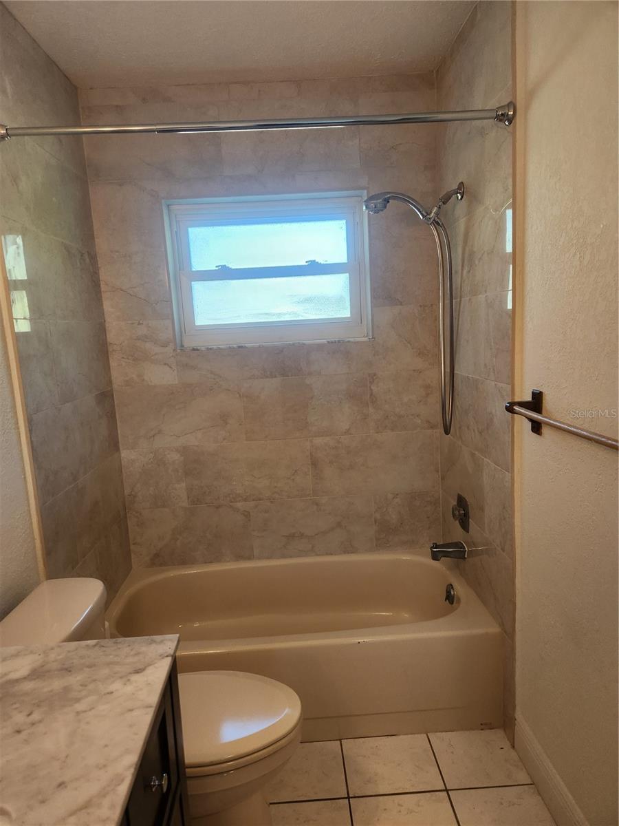 Tub and Shower Main Bath