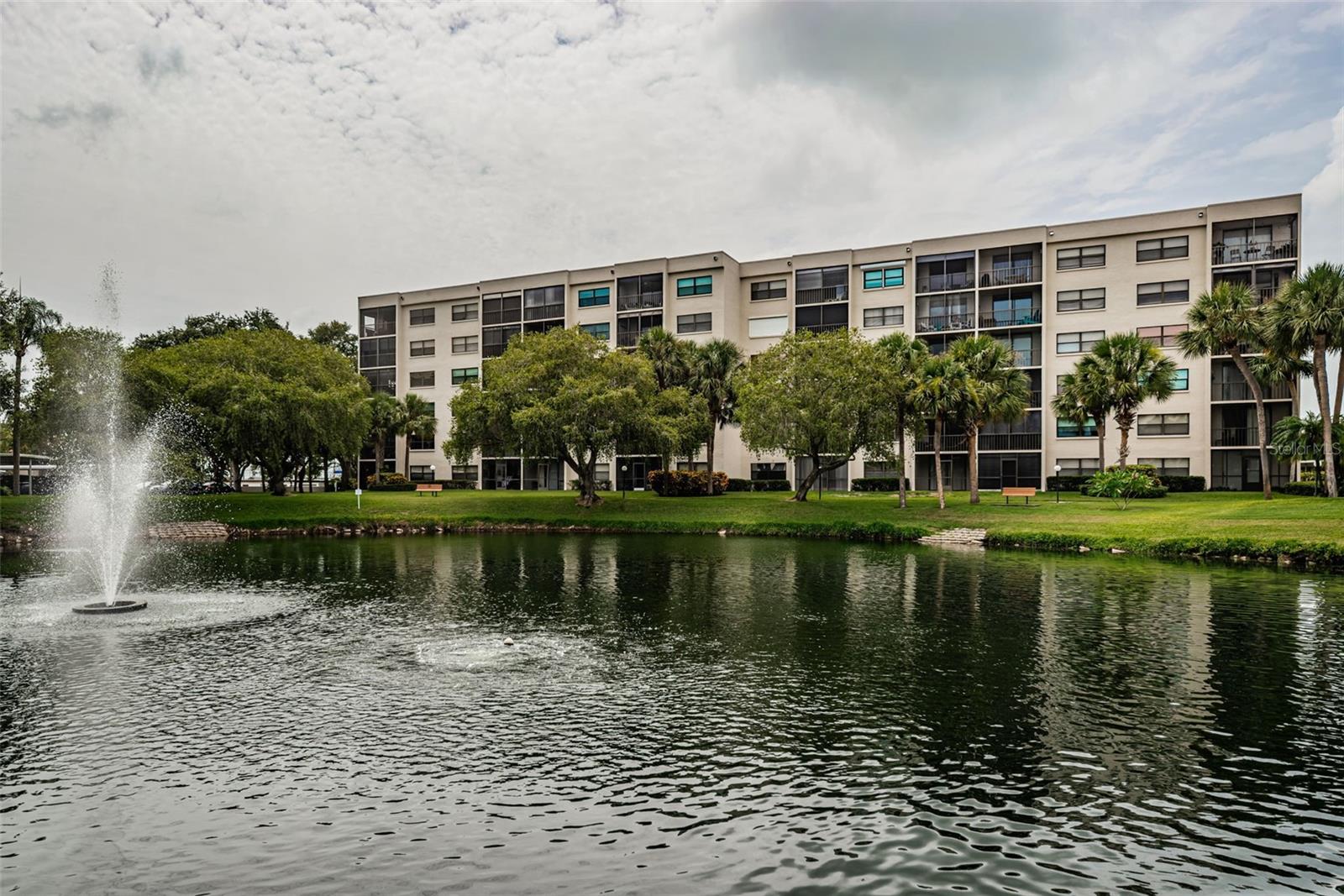 Pond behind unit