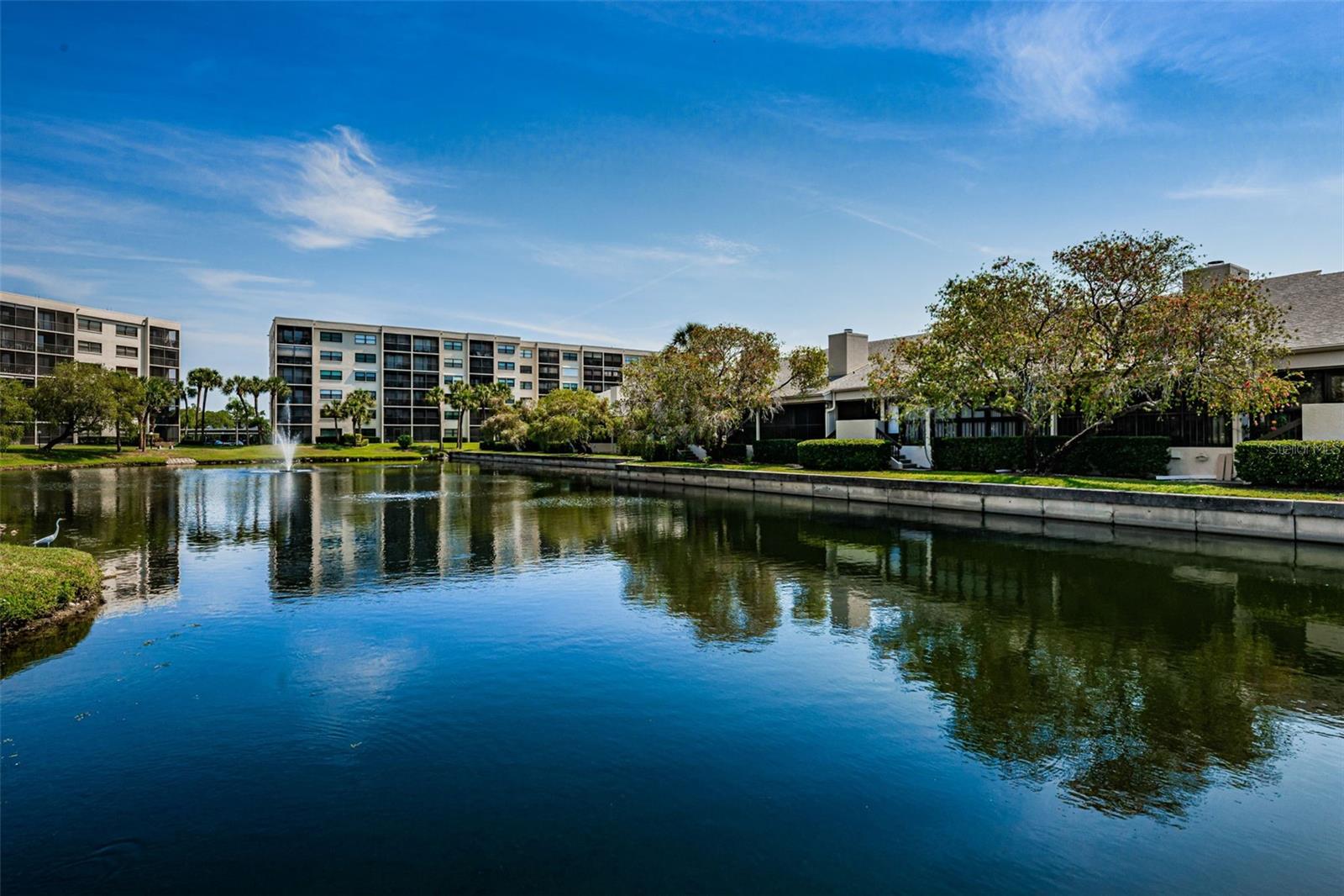 rearview of pond