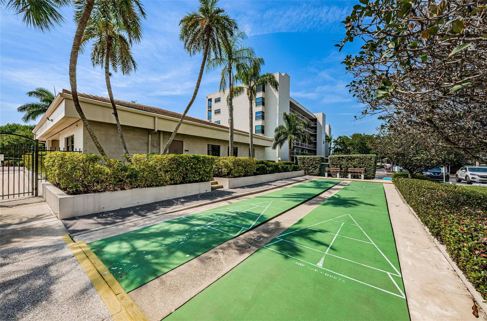 Shuffleboard court