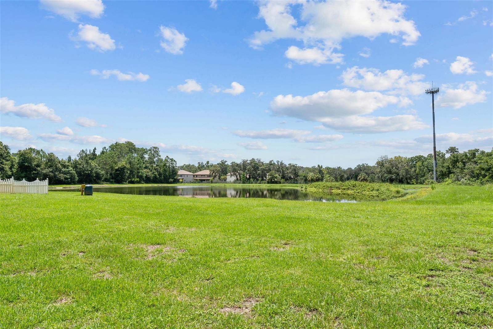 Pond View