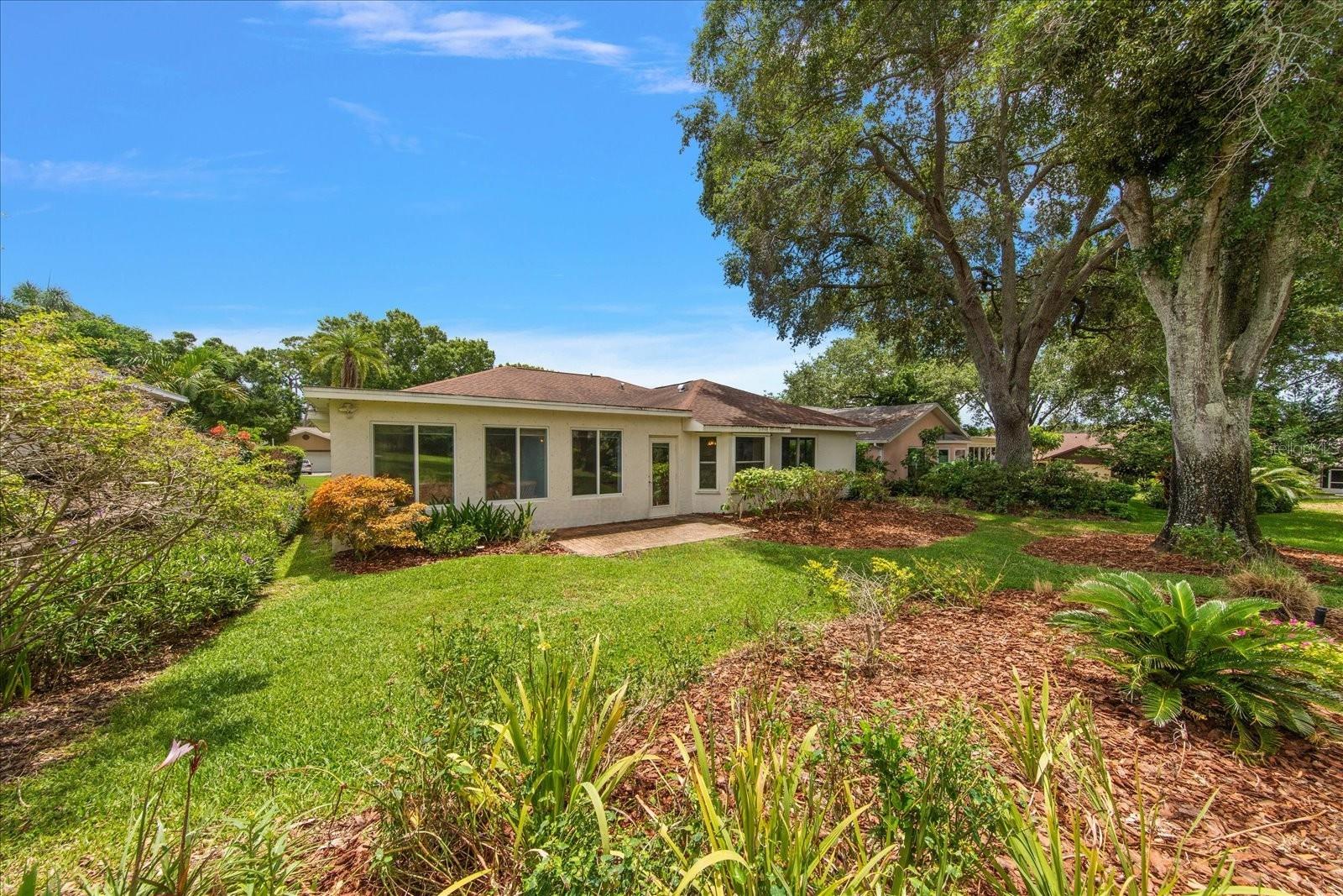 Room to create your own private nature view and/or hot tub retreat~