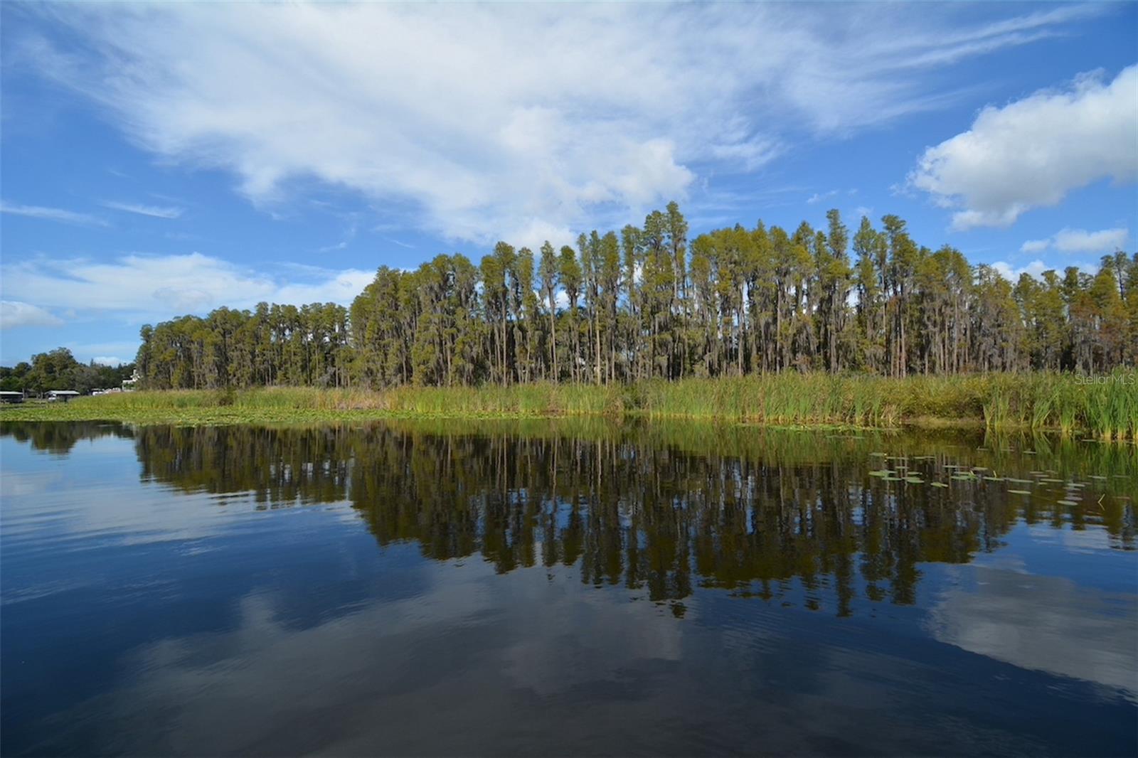 Bird Lake