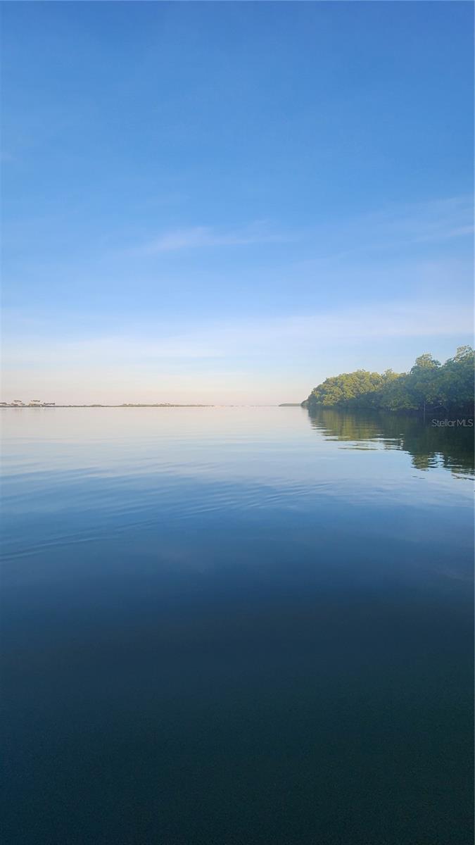 outside of the canal at 7am. Dolphins play!