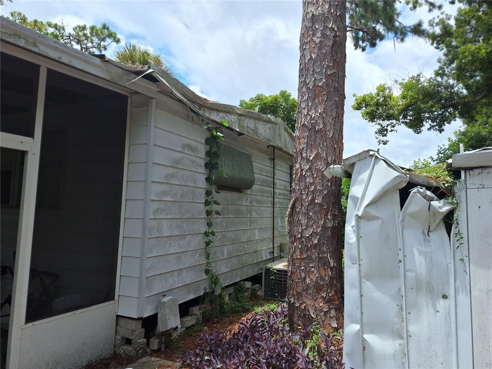 FRONT CORNER OF MOBILE FROM TREE DAMAGE