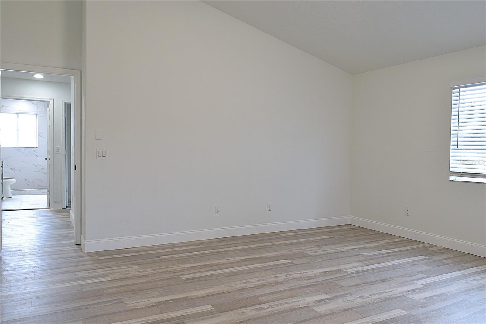 T3541326