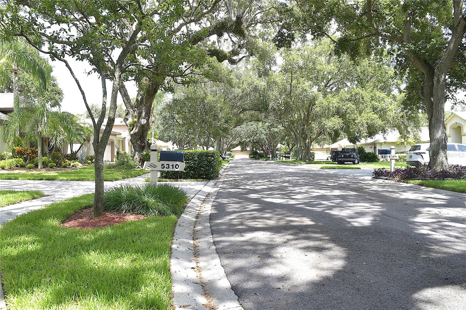 T3541326