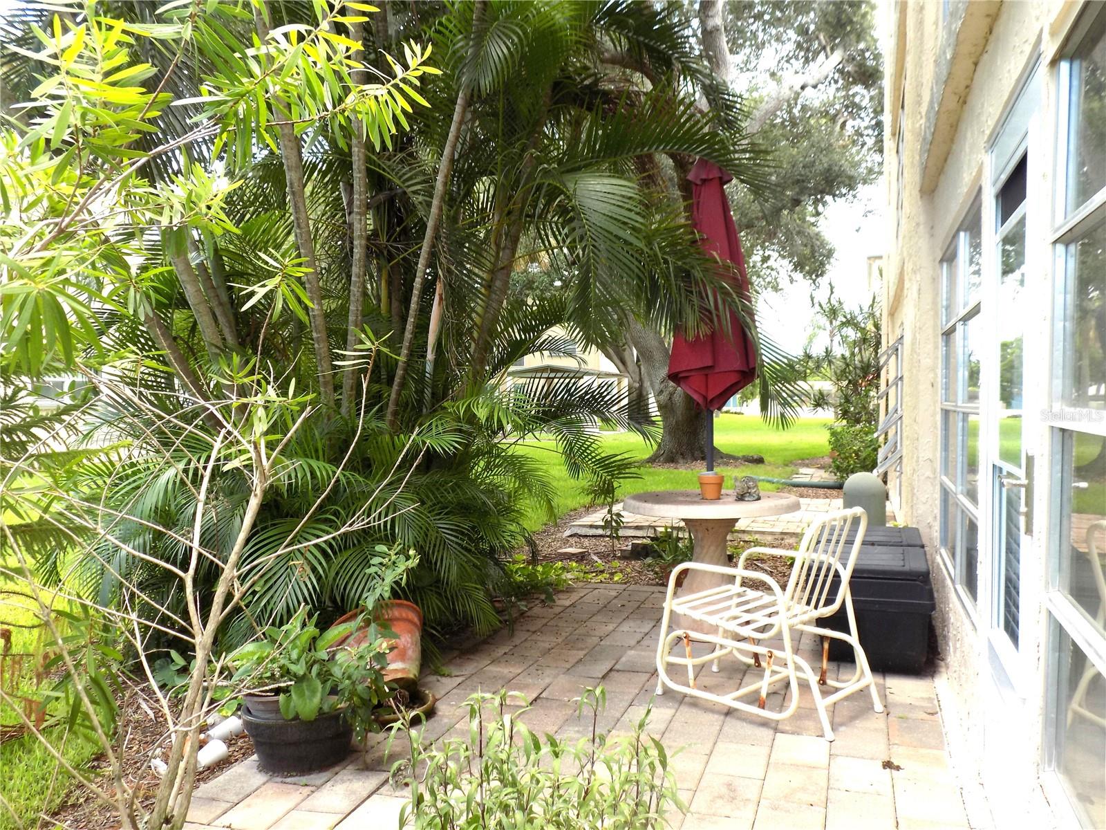 What's unusual about this particular patio is that it's one of very few, if any with mature vegetation that provides a good amount of privacy.