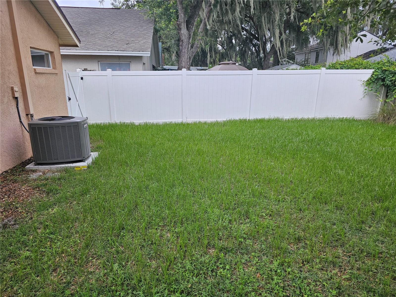 Backyard left side