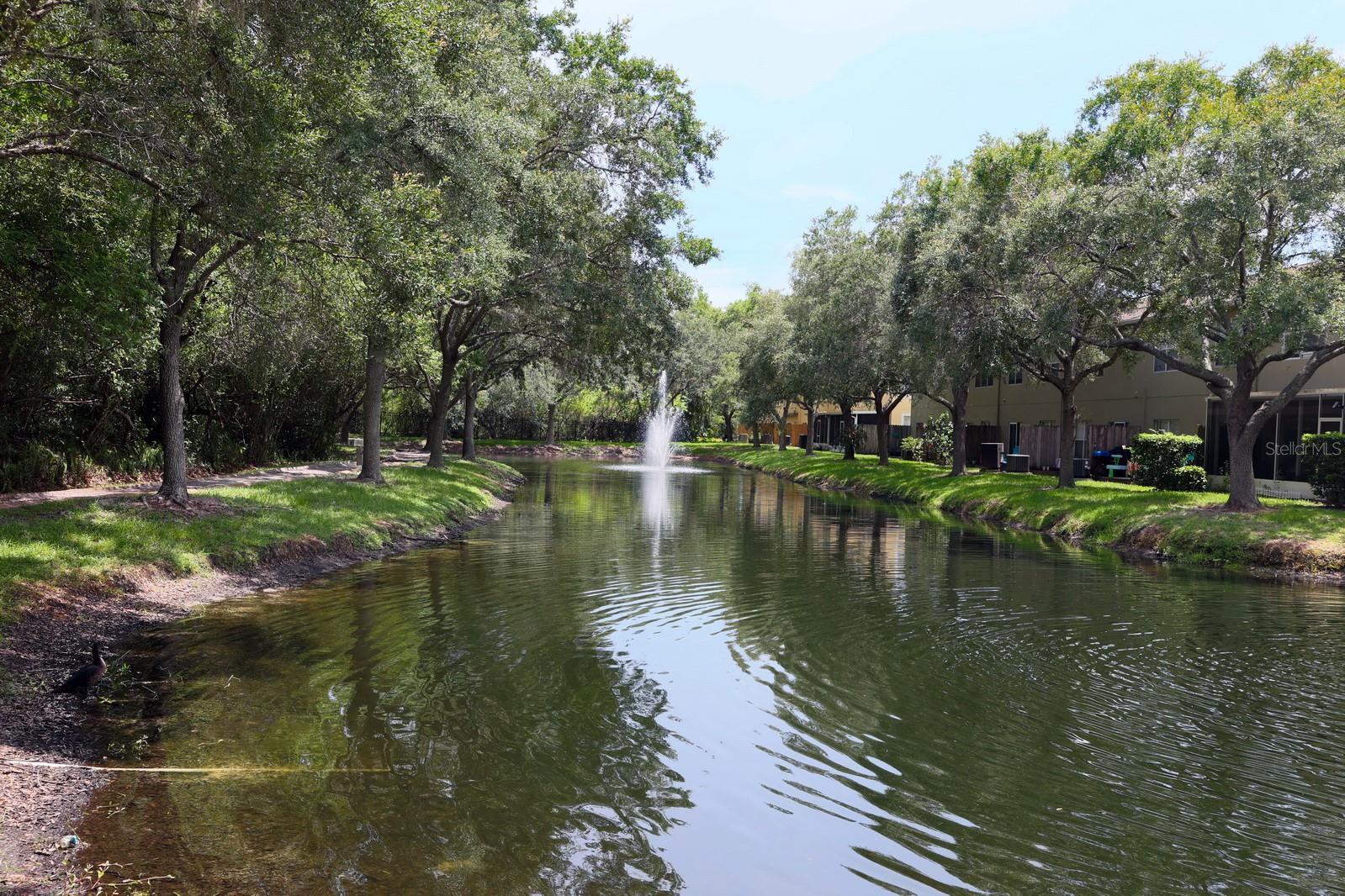 Community Pond