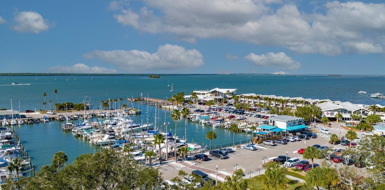 Dunedin Marina