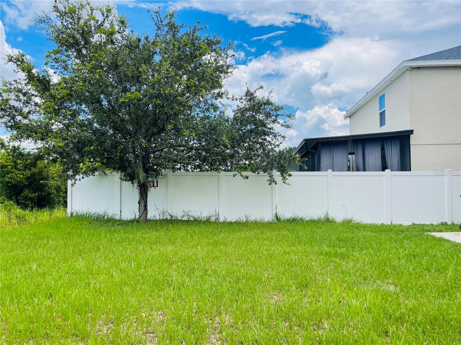 Exterior BackYard Side