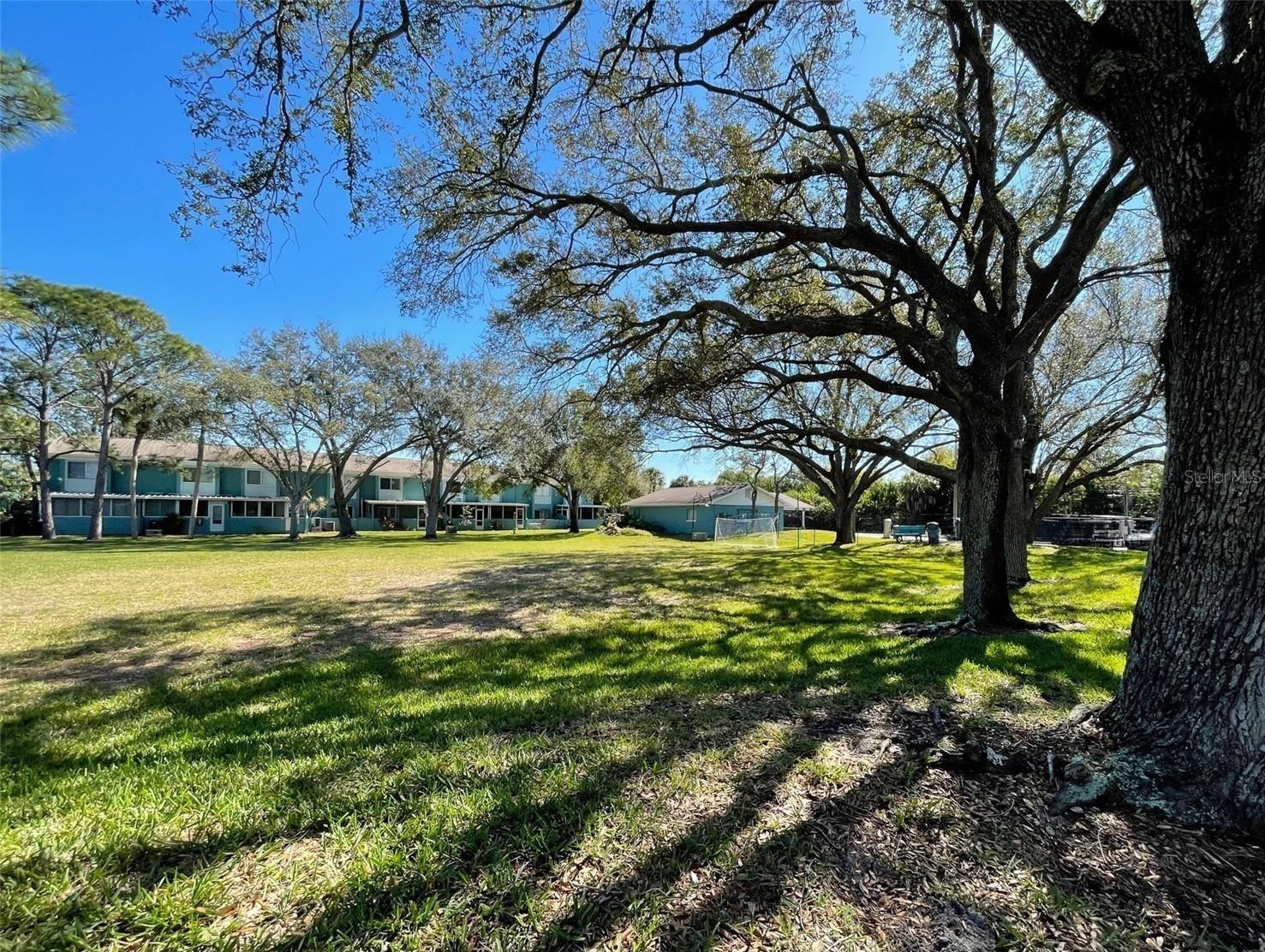 Open park for catch, soccer, frisbee, you name it.