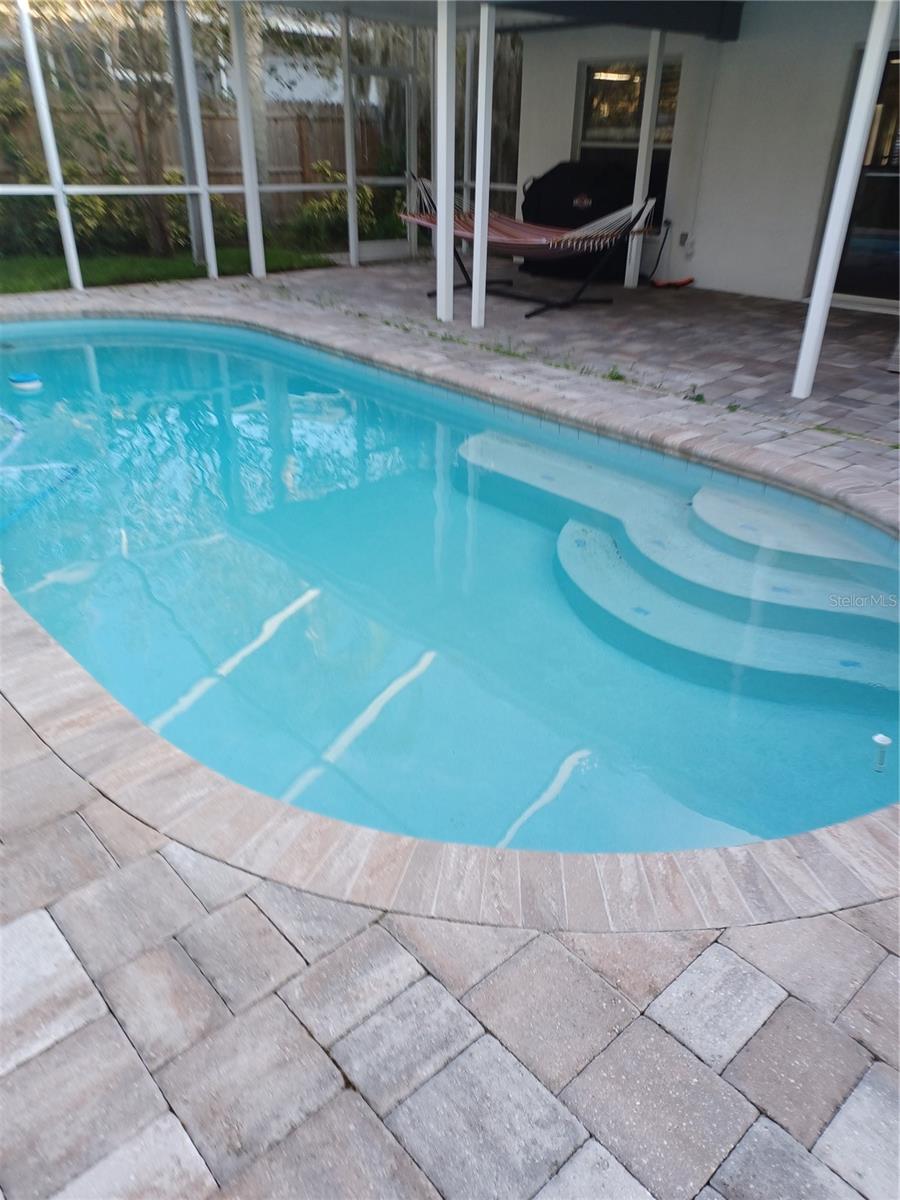 Pool with Pavers &  large covered lanai