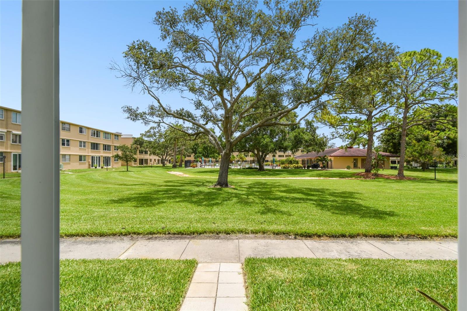 Garden, pool and club house views