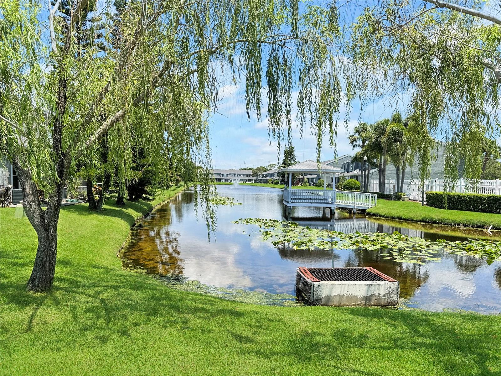 Gazebo area