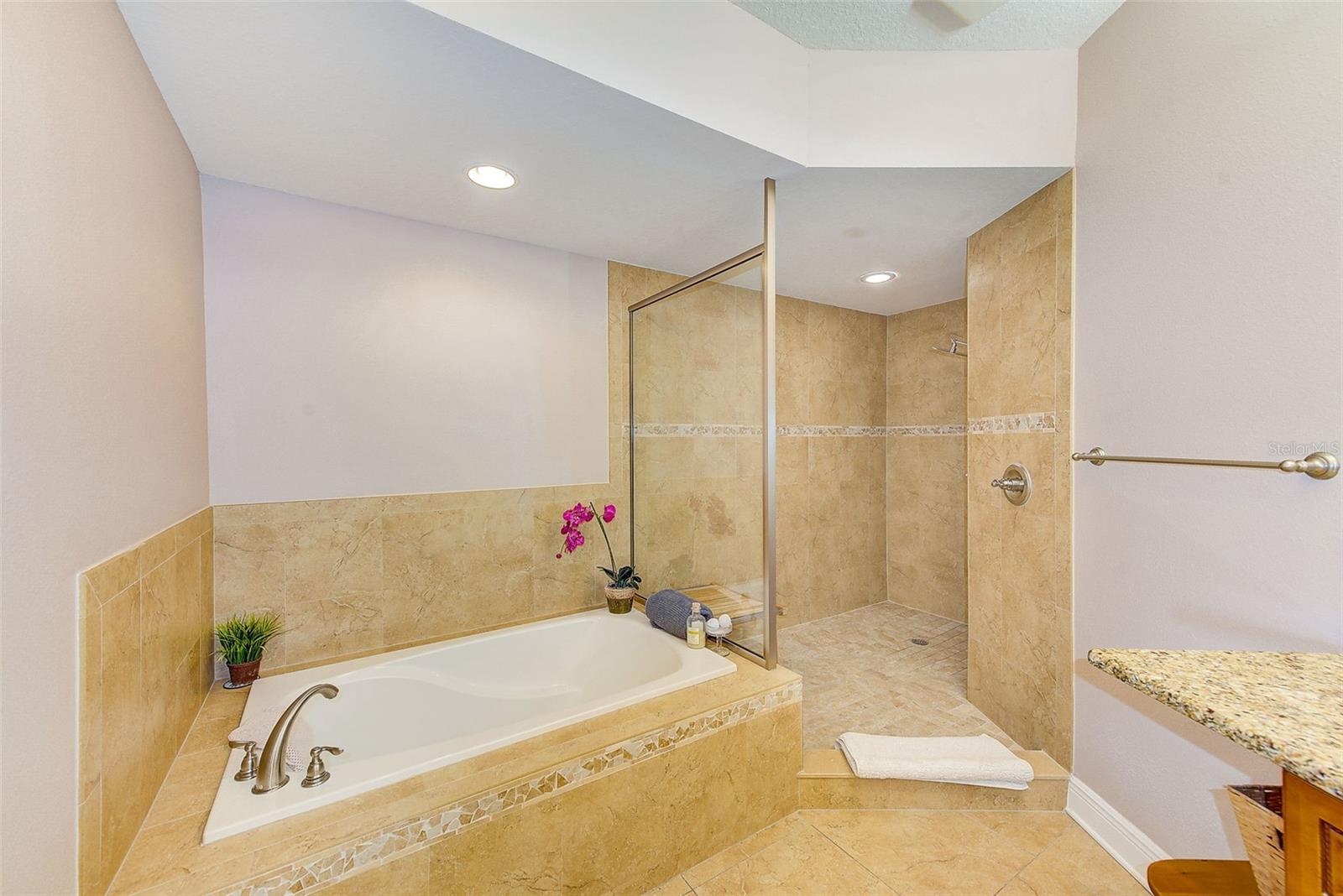 Garden Tub and Oversized Shower