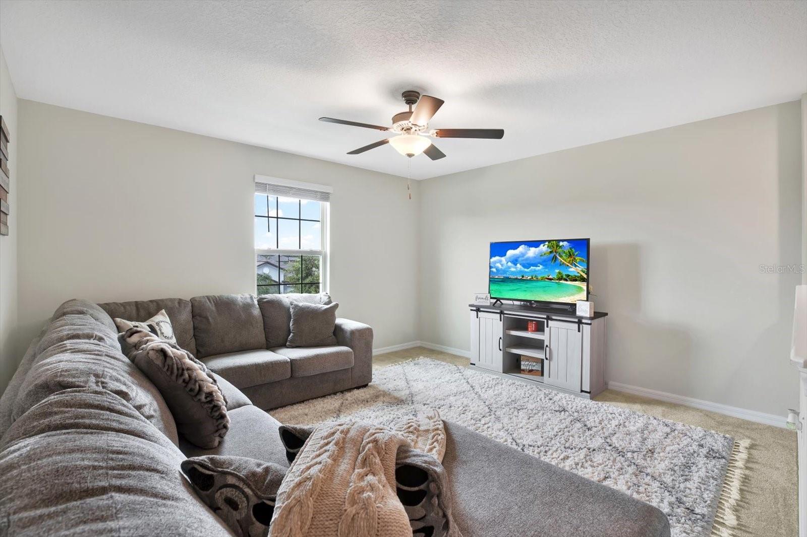 Loft/Media room