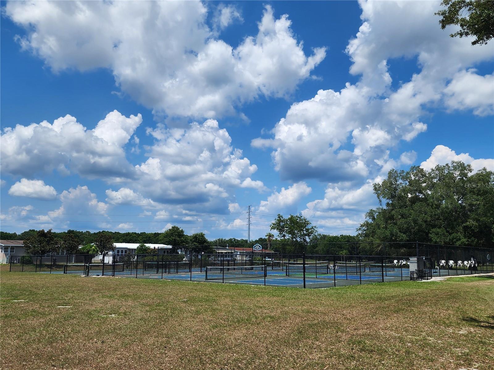 pickle ball & tennis.