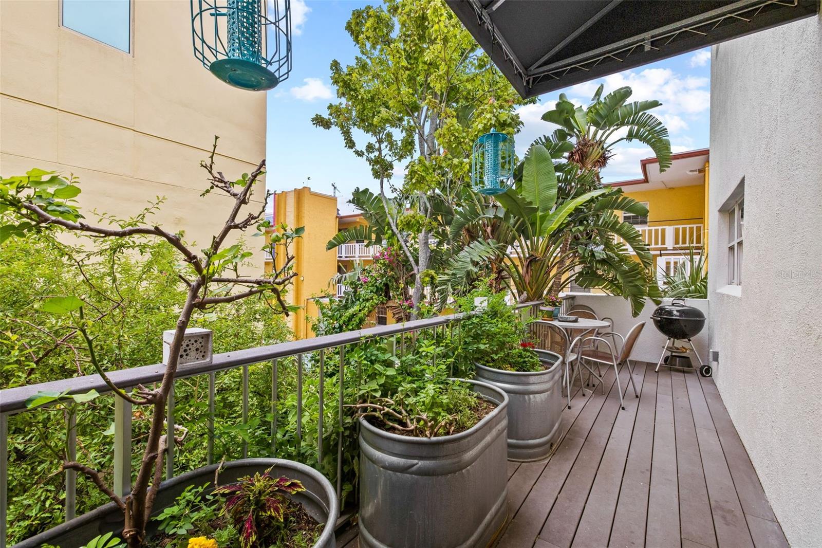 Huge planters for herbs and fruit trees!