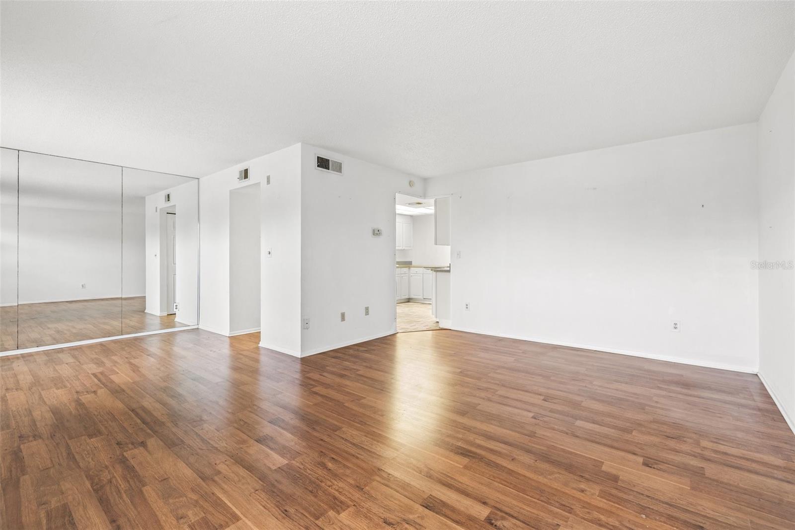 Living room and dining room