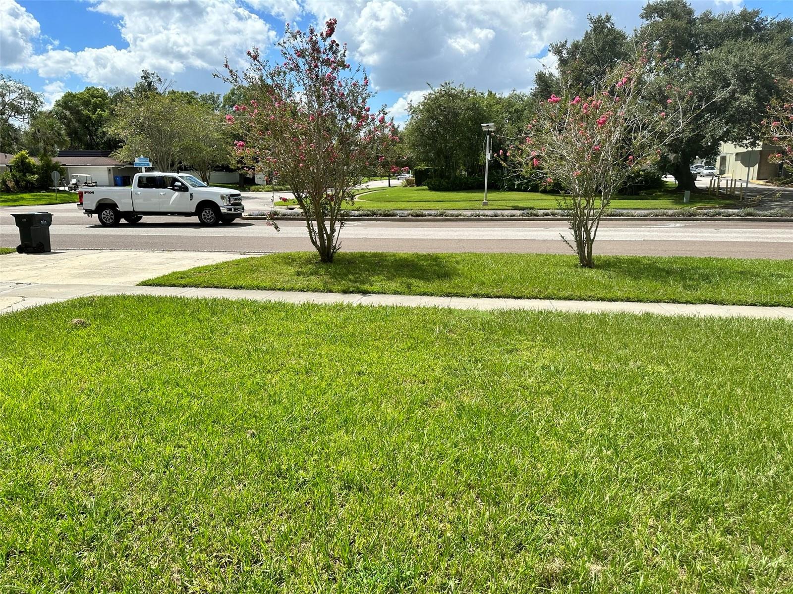 Front Yard