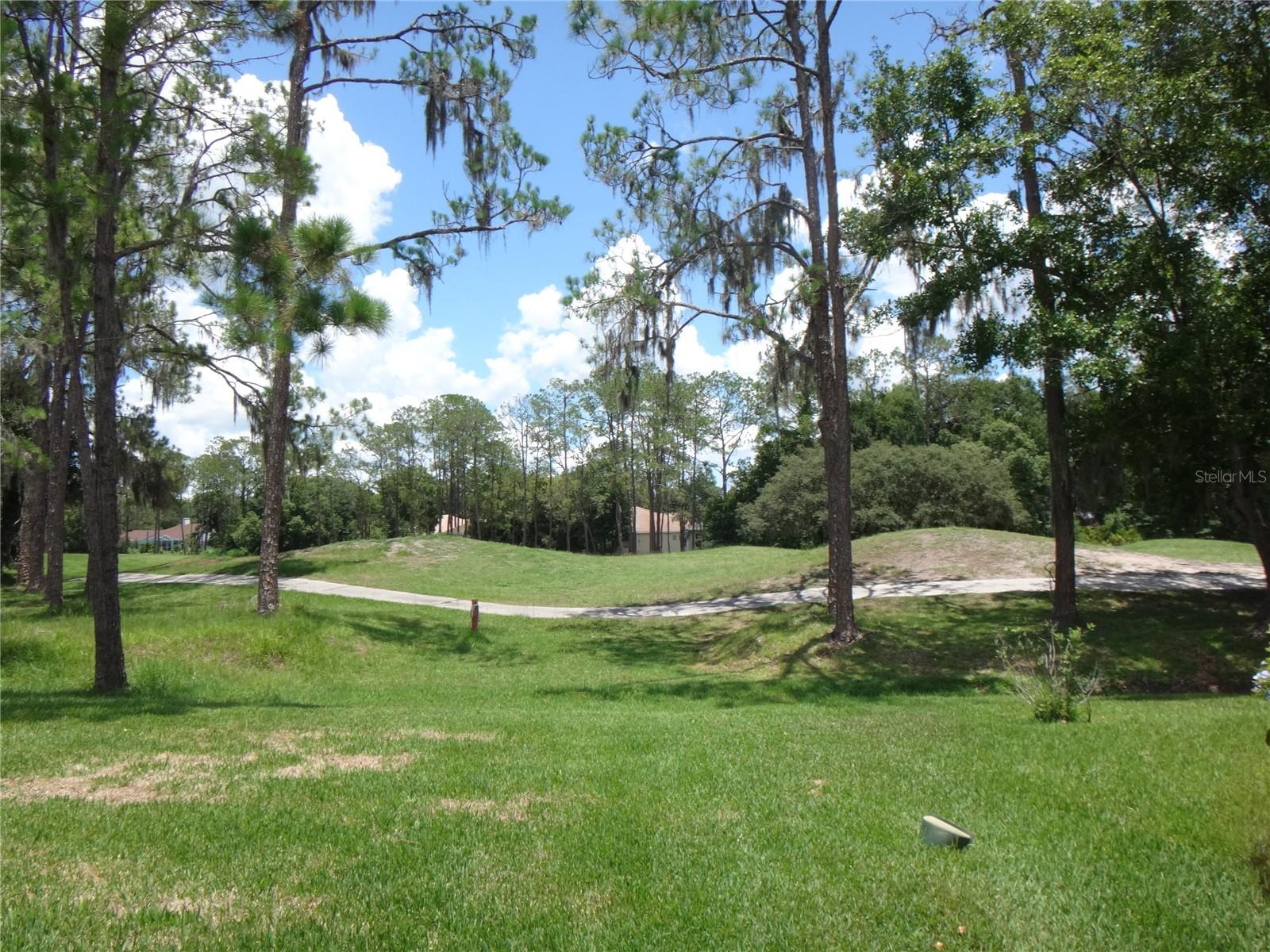 view from back door