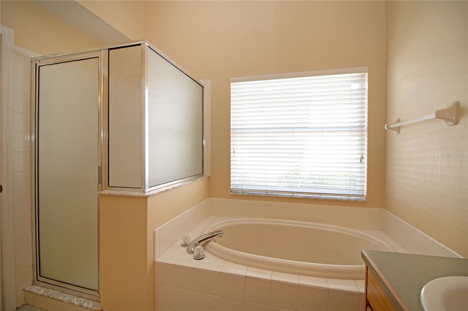 Primary Bathroom - Garden Tub