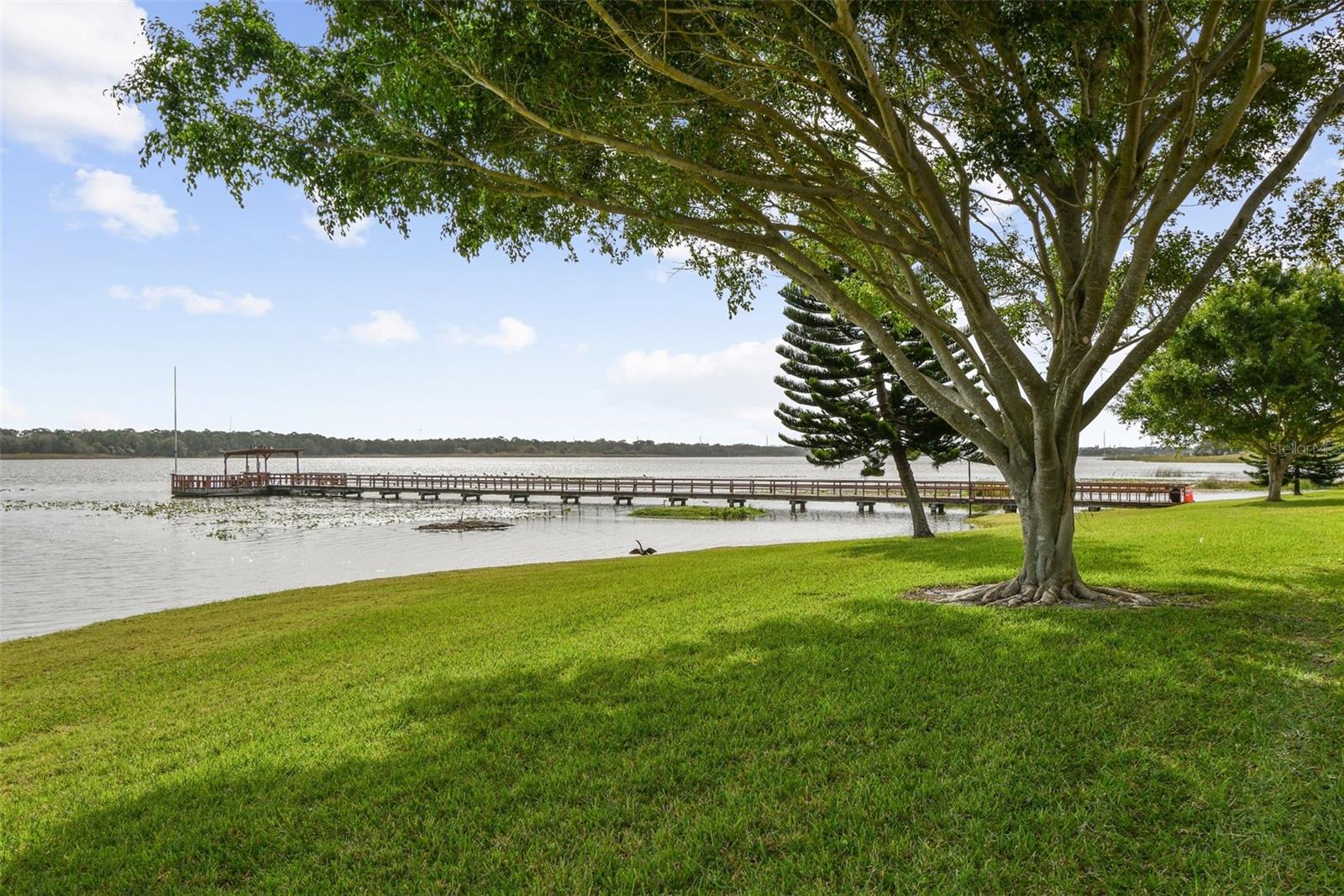 Fishing Pier on Lake Seminole