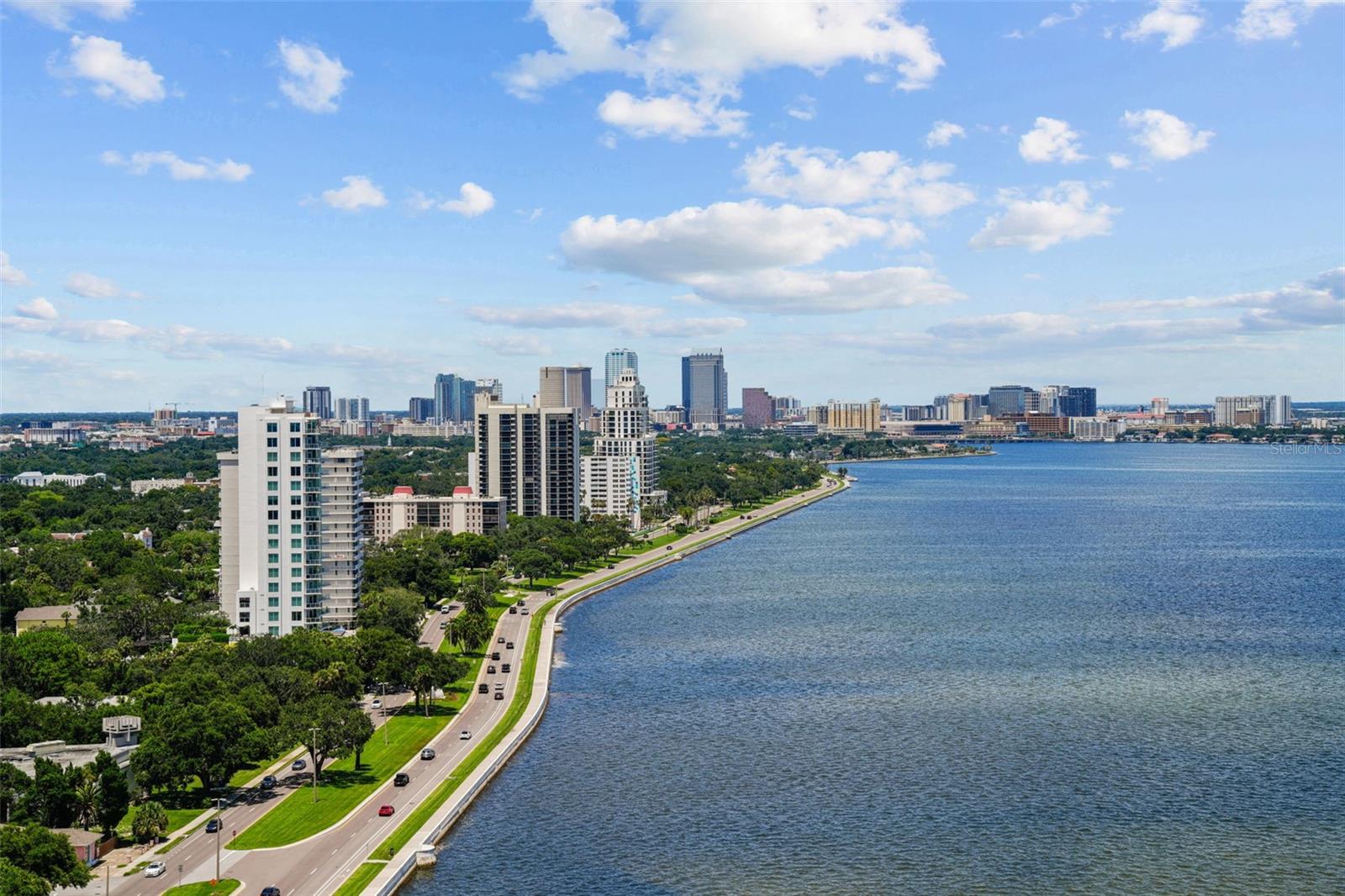 Bayshore Blvd View to the North