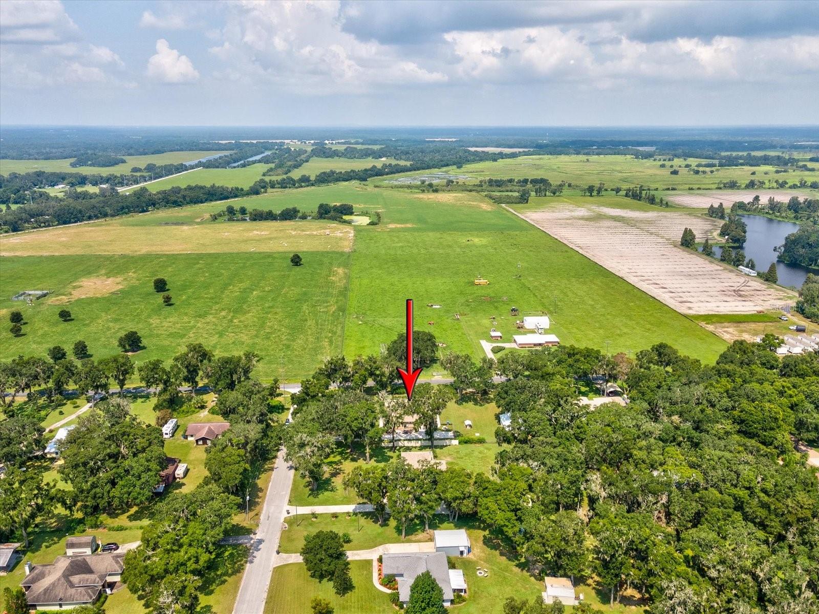 westward view towards cattle ranch