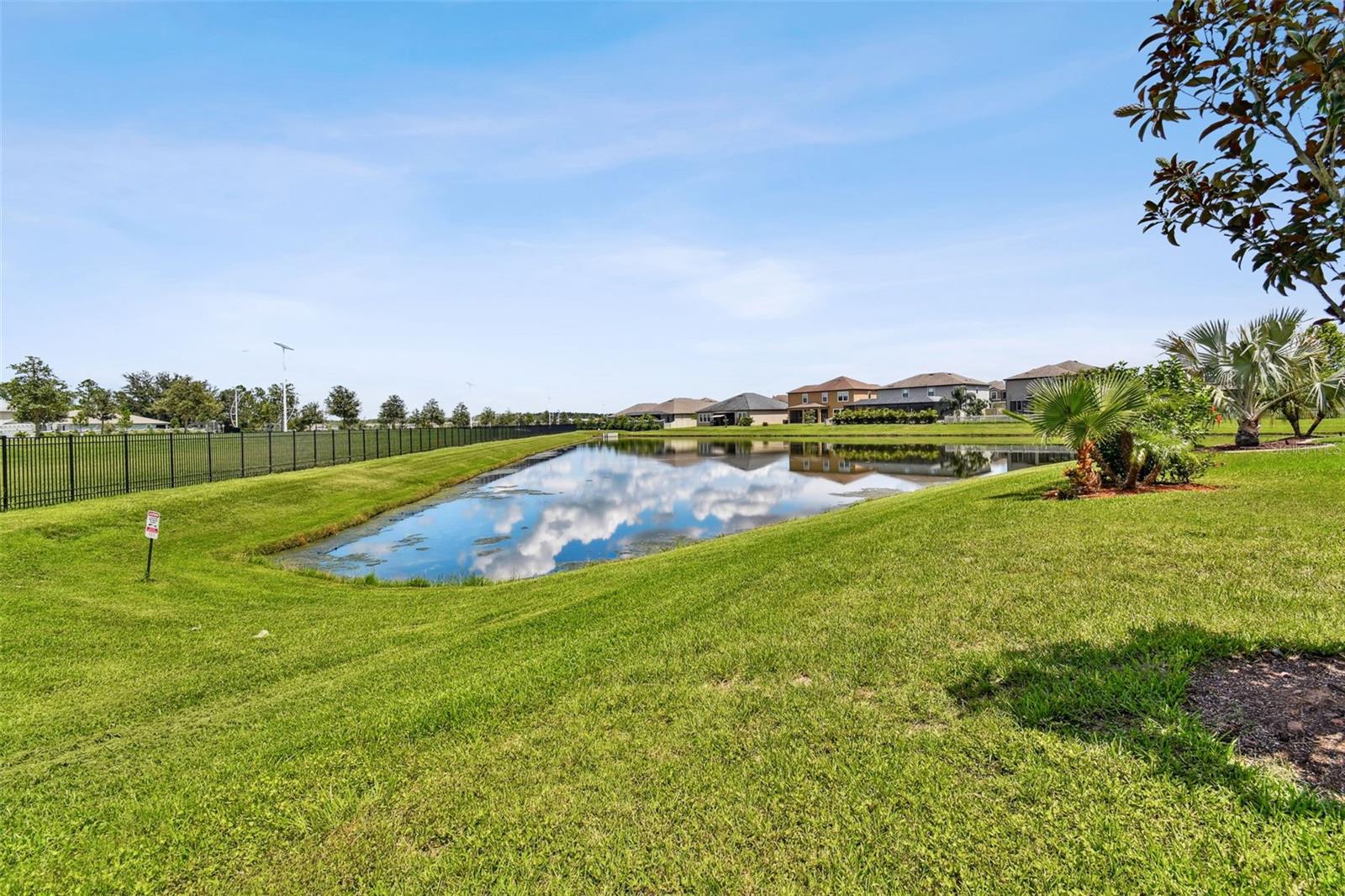 Pond in the back/side yard