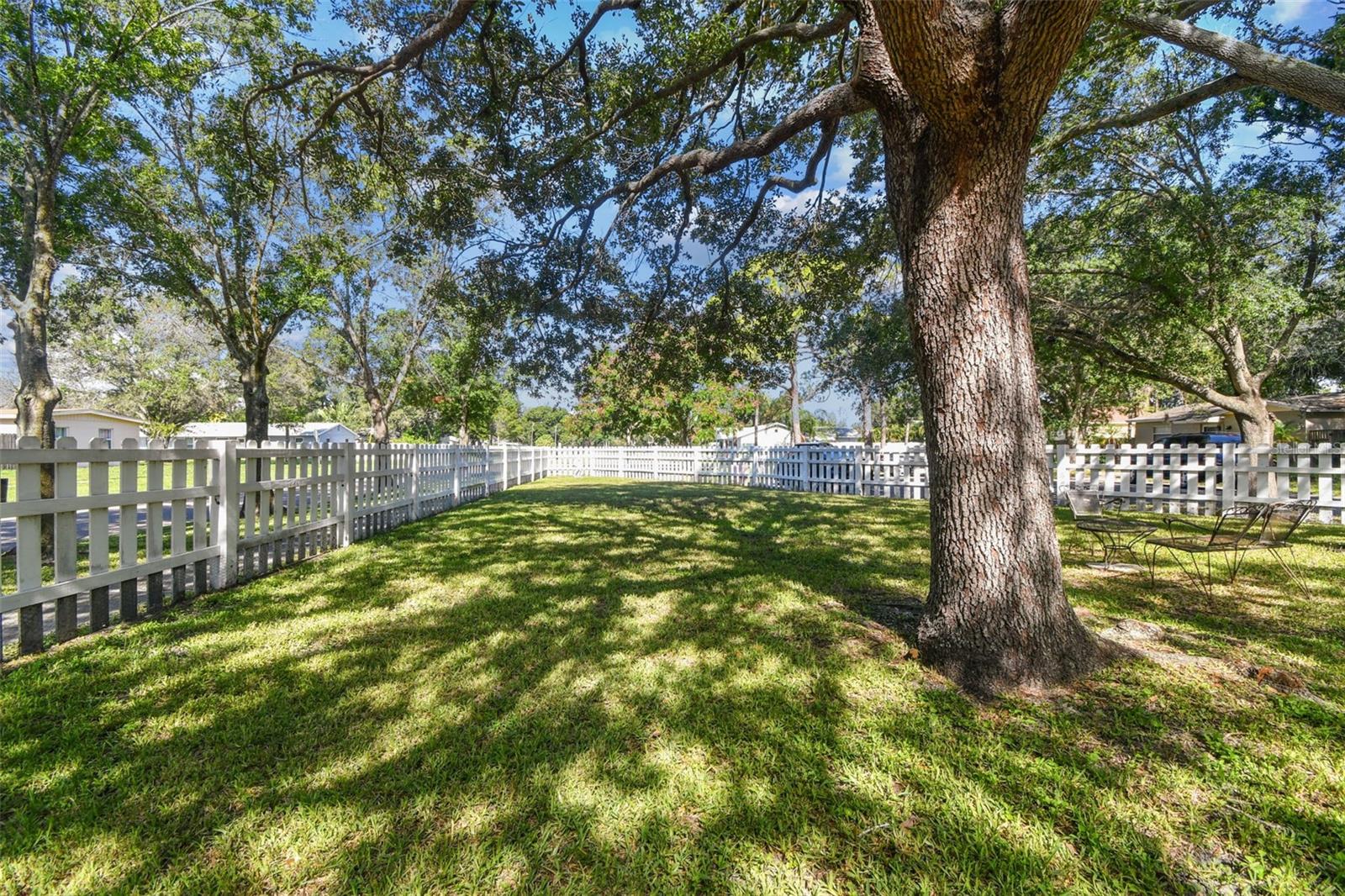 Large tranquil front yard