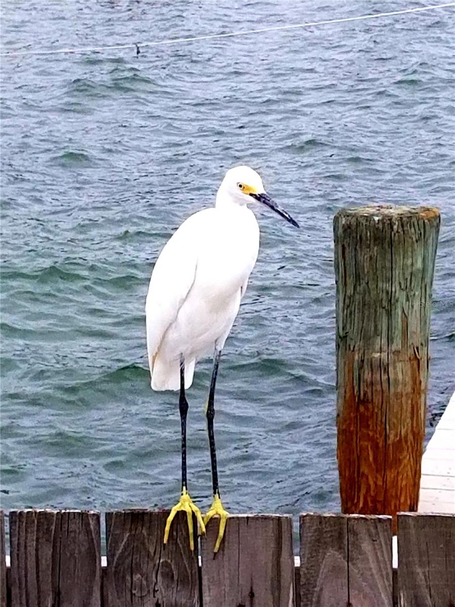 No worries here on St Pete Beach.