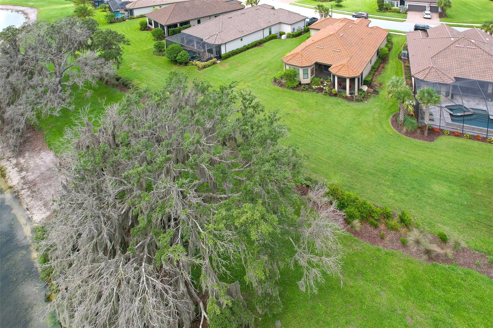 Aerial backyard view