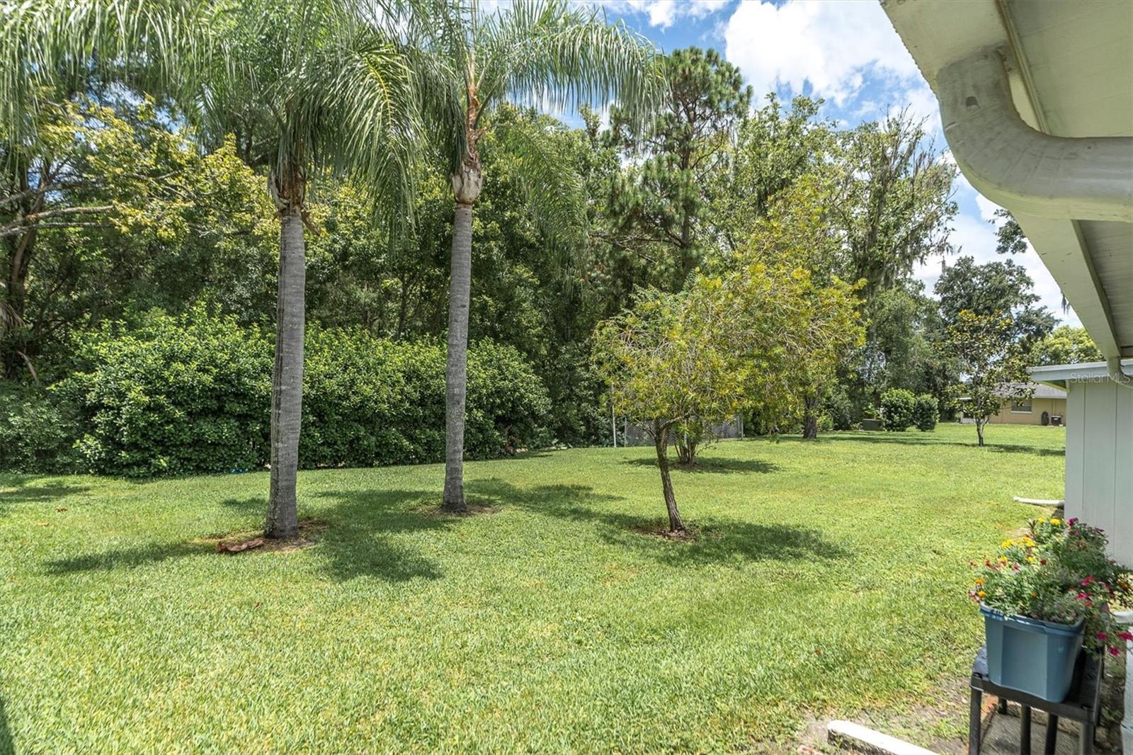 View from rear porch