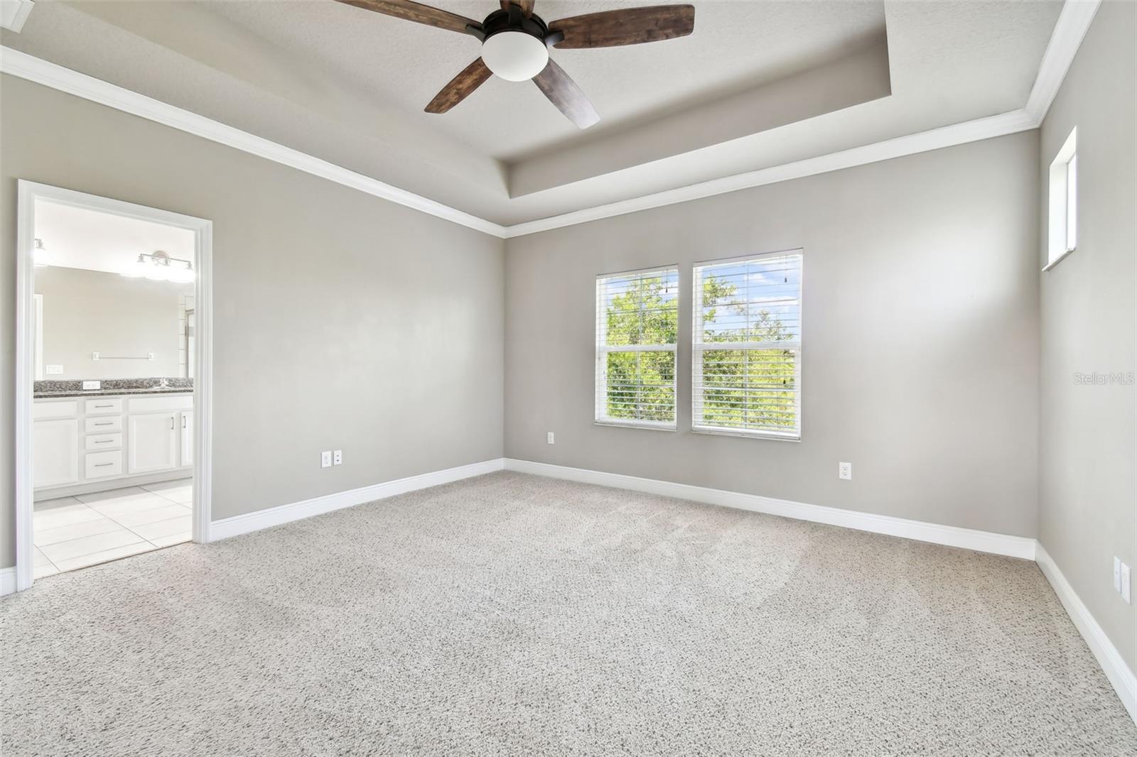 Primary bedroom with ensuite bathroom and tray ceiling.