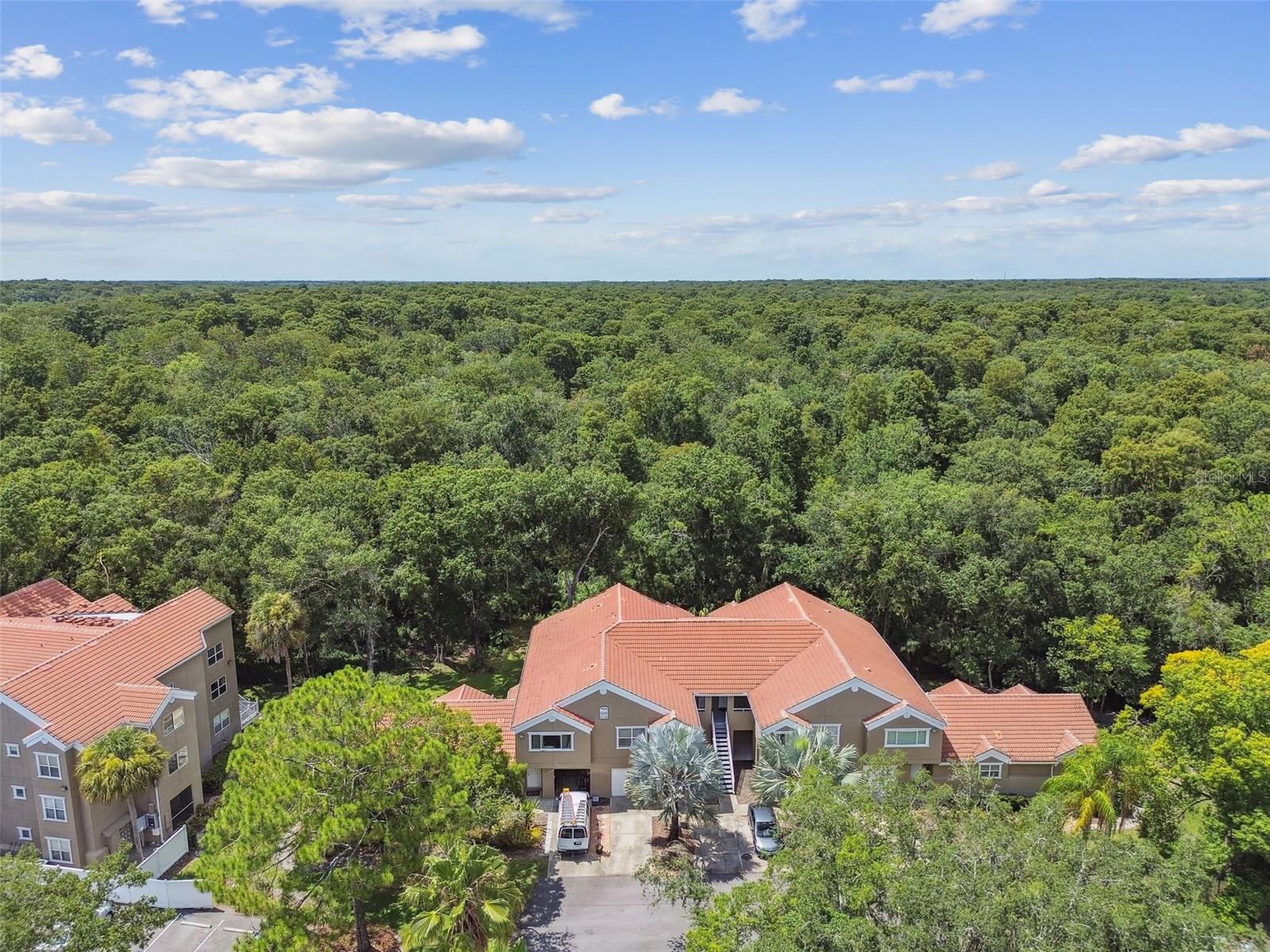 Aerial view of unit