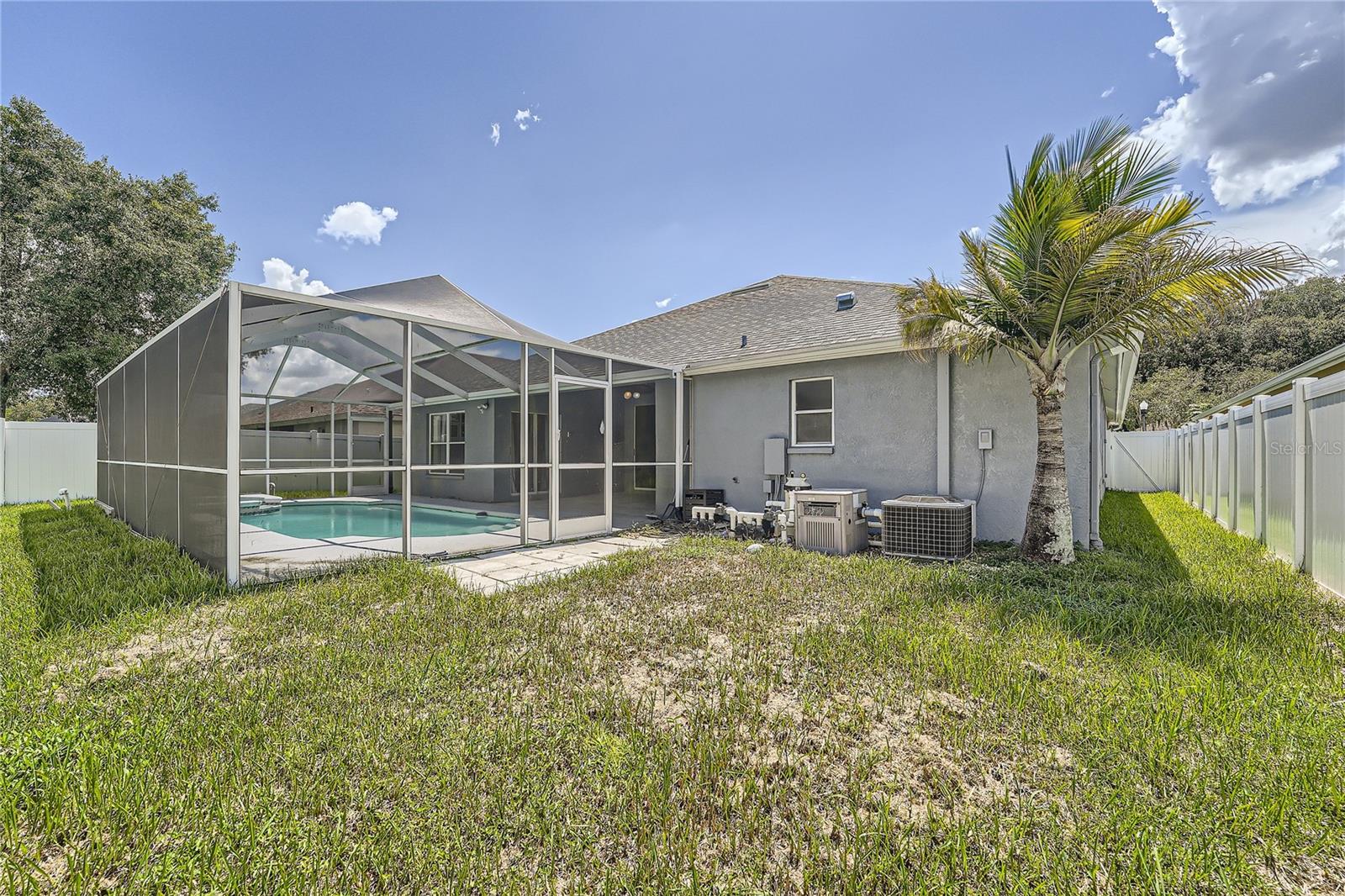 Back Yard & Pool