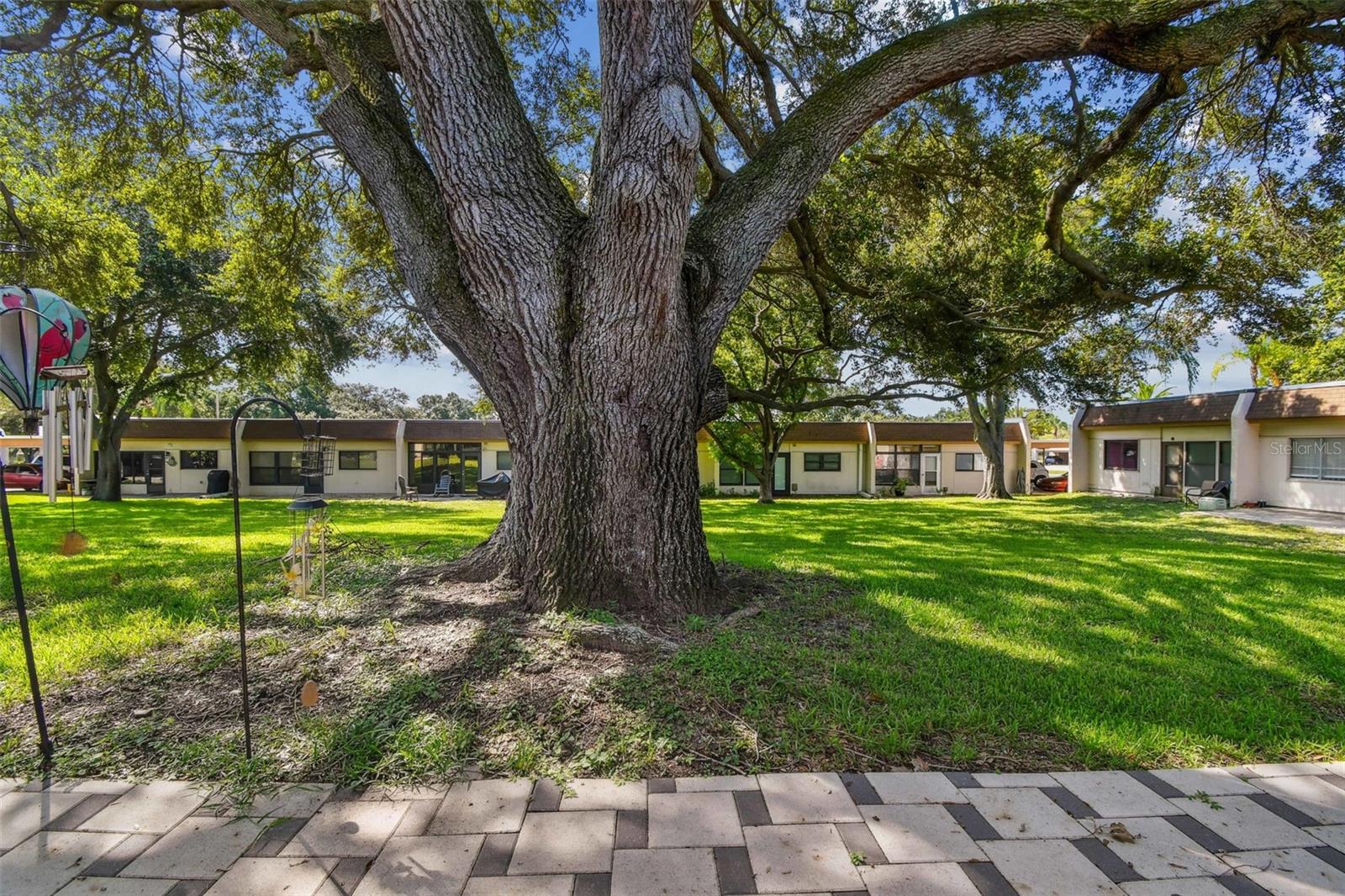 Enjoy the shade outdoors! Live in a park-like setting!