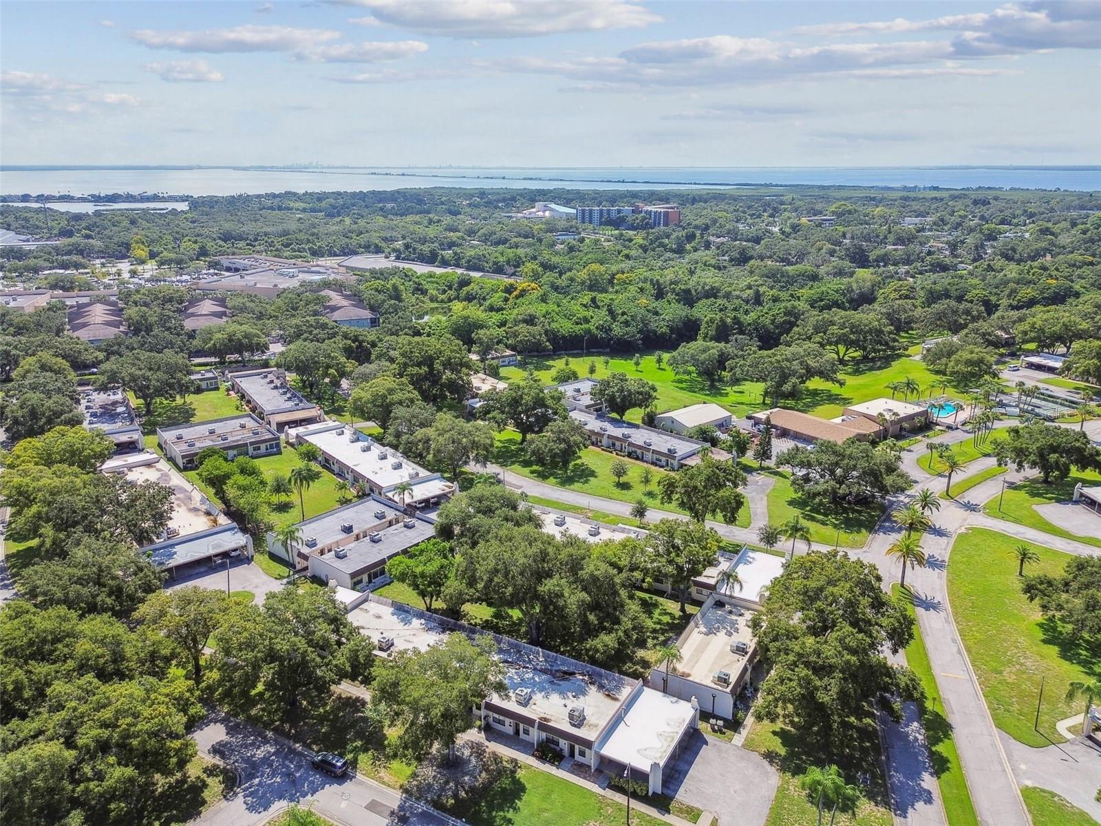 Mid-county location, close to McMullen booth Rd and easy access to Tampa Bay